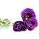 Purple Lisianthuses